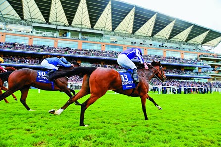 ASCOT 15-10-2016. The Queen Elizabeth Stakes.
MINDING and Ryan Moore wins for trainer Aidan O'Brien from RIBCHESTER.
Photo Healy Racing / Racingfotos.com
THIS IMAGE IS SOURCED FROM AND MUST BE BYLINED "RACINGFOTOS.COM"