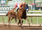 Lord Nelson wins the 2016 Santa Anita Sprint Championship