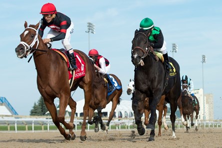 Generous Touch wins the 2016 Ruling Angel Stakes at Woodbine Racetrack.