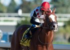 Golden Hawk wins the 2016 Grey Stakes