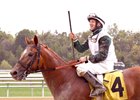 Jockey Hamilton Wins First Race in Comeback Jockey Hamilton Wins First Race in Comeback