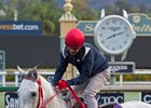 'Bluesman' Hopes for Redemption in Mr. Prospector 'Bluesman' Hopes for Redemption in Mr. Prospector