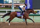 Gormley worked 6 furlongs in 1:16 2/5