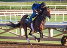 Derby Winner Nyquist Retired Derby Winner Nyquist Retired