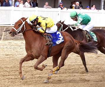 Rockin Jojo wins the 2016 Maryland Million Distaff Handicap