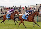 Rhododendron outfinishes Hydrangea to win the Dubai Fillies' Mile.