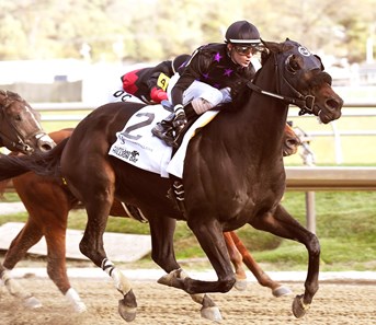 Nicaradalic Rocks wins the 2016 Maryland Million Sprint