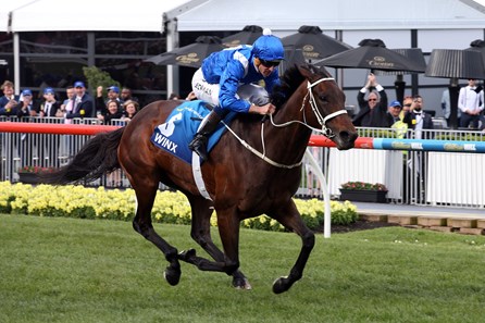 Winx wins the 2016 Cox Plate