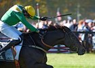 Champion Steeplechaser Rawnaq to Miss 2017 Season Champion Steeplechaser Rawnaq to Miss 2017 Season