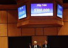 Hip 144, a Malibu Moon filly, brought $300,000