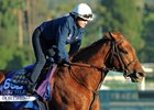 Dortmund is the headliner in the string of horses owner Kaleem Shah moved from Bob Baffert to Art Sherman
