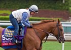 Cautious Optimism For Lord Nelson in Laminitis Battle Cautious Optimism For Lord Nelson in Laminitis Battle