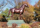 Kentucky Horse Park No Longer Pursuing 2022 World Games Kentucky Horse Park No Longer Pursuing 2022 World Games
