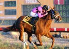 Family Tree Dominant in Zia Park Oaks Family Tree Dominant in Zia Park Oaks