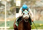 Stryker Phd Gets Up Late to Win Berkeley Stryker Phd Gets Up Late to Win Berkeley