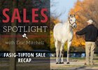 2016 Fasig-Tipton November Sale Recap 2016 Fasig-Tipton November Sale Recap