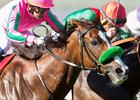Nuovo Record wins the 2016 Red Carpet Handicap
