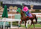 Nuovo Record to Race at Del Mar Nuovo Record to Race at Del Mar