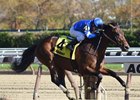 Hemsworth wins the Nashua Stakes