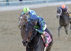 Mo Town wins the 2016 Remsen Stakes