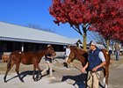 Keeneland November