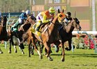 Texas Ryano Seeks San Marcos Victory Texas Ryano Seeks San Marcos Victory