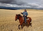 Richard Monaco, a Vietnam War veteran, rides retired Thoroughbred Gal Has to Like it just outside Down the Stretch Ranch in Creston, Wash.