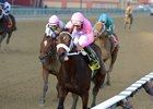 Miss Sky Warrior winning the Tempted Stakes Nov. 5 at Aqueduct Racetrack