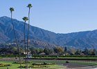 Santa Anita Reports Handle, Attendance Gains Santa Anita Reports Handle, Attendance Gains