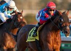 Are You Kidding Me wins the 2016 Autumn Stakes
