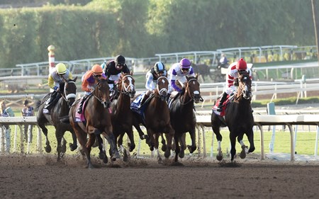 Gary Stevens guides Beholder up the outside of the field on the way to the win in the Breeders' Cup Distaff at Santa Anita Nov. 4, 2016 in Arcadia, California. Photo by Skip Dickstein