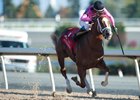 First Stakes Winner for Algorithms First Stakes Winner for Algorithms