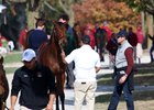 2016 Keeneland November Sale