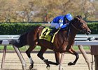 Hemsworth wins the 2016 Nashua Stakes