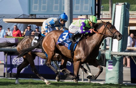 New Money Honey, with Javier Castellano aboard wins the Juvenile Fillies Turf (gr. I) at Santa Anita on Nov. 4, 2016, in Arcadia, Calif.