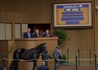 Hip 4762 was the final horse into the sales ring at the Keeneland November sale