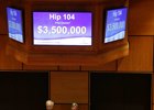 Baffled, a Distorted Humor mare carrying a full sibling to grade I winner Constitution, topped the sale