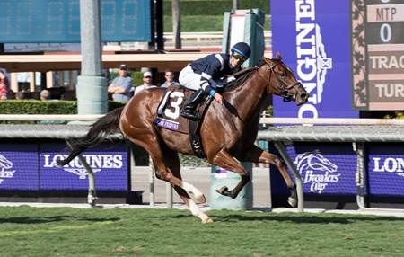 Oscar Performance, with Jose Ortiz up, wins the Juvenile Turf (gr. IT) at Santa Anita on Nov. 4 in Arcadia, Calif.