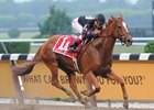 Ginger Punch wins the 2008 Ogden Phipps Handicap at Belmont Park