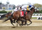 Verve's Tale Gets First Stakes Win in Comely Verve's Tale Gets First Stakes Win in Comely