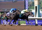 Classic Empire holds off Not This Time to win the Breeders' Cup Juvenile