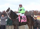 Mo Don't Know Named Ohio Horse of the Year Mo Don't Know Named Ohio Horse of the Year