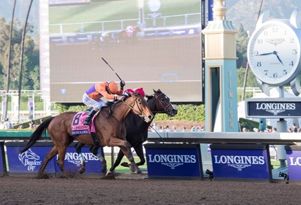 Beholder, with Gary Stevens up, edges out Songbird to win the Longines Distaff (gr. I) at Santa Anita on Nov. 4, 2016, in Arcadia, California.
