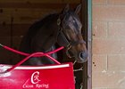 Tepin