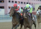 Connect (outside) just wins the Cigar Mile over Divining Rod