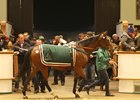Replete Tops Tattersalls Mare Sale Day 3 Replete Tops Tattersalls Mare Sale Day 3