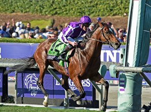 Highland Reel Speeds to BC Turf Rout