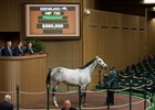Bryan's Jewel sells for $580,000 at Keeneland November