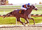 El Areeb scores at Laurel Park