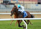 Macagone wins the 2016 Artie Schiller Stakes.